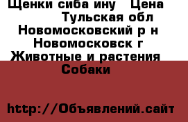 Щенки сиба ину › Цена ­ 15 000 - Тульская обл., Новомосковский р-н, Новомосковск г. Животные и растения » Собаки   